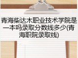青海柴达木职业技术学院是一本吗录取分数线多少(青海职院录取线)