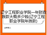 辽宁工程职业学院一年财政拨款大概多少钱(辽宁工程职业学院年拨款)