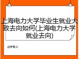 上海电力大学毕业生就业大致去向如何(上海电力大学就业去向)