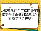 安徽现代信息工程职业学院奖学金评定细则是怎样的(安徽奖学金细则)