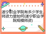 遂宁职业学院有多少学生，师资力量如何(遂宁职业学院规模师资)