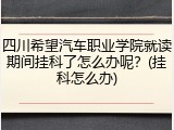 四川希望汽车职业学院就读期间挂科了怎么办呢？(挂科怎么办)