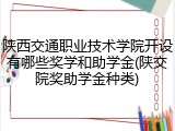 陕西交通职业技术学院开设有哪些奖学和助学金(陕交院奖助学金种类)