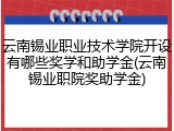 云南锡业职业技术学院开设有哪些奖学和助学金(云南锡业职院奖助学金)