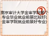南京审计大学金审学院哪个专业毕业就业前景比较好(金审学院就业前景好专业)