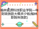 榆林能源科技职业学院一年财政拨款大概多少钱(榆林职院年拨款)