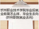 忻州职业技术学院毕业后就业前景怎么样，毕业生去向(忻州职院就业去向)