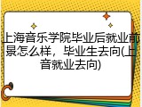 上海音乐学院毕业后就业前景怎么样，毕业生去向(上音就业去向)