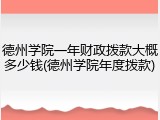 德州学院一年财政拨款大概多少钱(德州学院年度拨款)