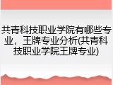 共青科技职业学院有哪些专业，王牌专业分析(共青科技职业学院王牌专业)