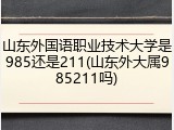 山东外国语职业技术大学是985还是211(山东外大属985211吗)