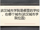 武汉城市学院是哪里的学校，在哪个城市(武汉城市学院位置)