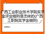 广西工业职业技术学院奖学金评定细则是怎样的(广西工职院奖学金细则)