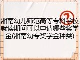 湘南幼儿师范高等专科学校就读期间可以申请哪些奖学金(湘南幼专奖学金种类)