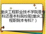 重庆工程职业技术学院是专科还是本科院校呢(重庆工程职院本专科？)