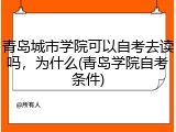 青岛城市学院可以自考去读吗，为什么(青岛学院自考条件)
