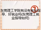 东莞理工学院有没有就业指导，好就业吗(东莞理工就业指导如何)