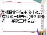 潇湘职业学院主攻什么方向有哪些王牌专业(潇湘职业学院王牌专业)