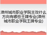 漳州城市职业学院主攻什么方向有哪些王牌专业(漳州城市职业学院王牌专业)