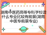 湖南中医药高等专科学校读什么专业比较有前景(湖南中医专前景专业)