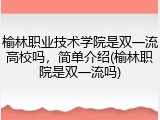 榆林职业技术学院是双一流高校吗，简单介绍(榆林职院是双一流吗)