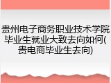 贵州电子商务职业技术学院毕业生就业大致去向如何(贵电商毕业生去向)