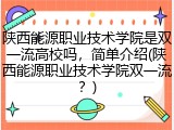 陕西能源职业技术学院是双一流高校吗，简单介绍(陕西能源职业技术学院双一流？)