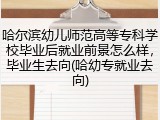 哈尔滨幼儿师范高等专科学校毕业后就业前景怎么样，毕业生去向(哈幼专就业去向)