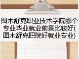 图木舒克职业技术学院哪个专业毕业就业前景比较好(图木舒克职院好就业专业)