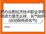 民办合肥经济技术职业学院师资力量怎么样，名气如何(合经院师资名气)