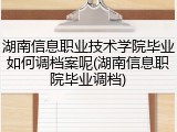 湖南信息职业技术学院毕业如何调档案呢(湖南信息职院毕业调档)