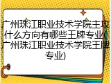 广州珠江职业技术学院主攻什么方向有哪些王牌专业(广州珠江职业技术学院王牌专业)