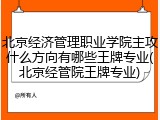 北京经济管理职业学院主攻什么方向有哪些王牌专业(北京经管院王牌专业)