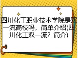 四川化工职业技术学院是双一流高校吗，简单介绍(四川化工双一流？简介)
