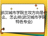 武汉城市学院主攻方向是什么，怎么样(武汉城市学院特色专业)