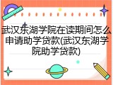 武汉东湖学院在读期间怎么申请助学贷款(武汉东湖学院助学贷款)