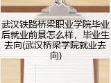 武汉铁路桥梁职业学院毕业后就业前景怎么样，毕业生去向(武汉桥梁学院就业去向)