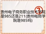 贵州电子商务职业技术学院是985还是211(贵州电商学院是985吗)