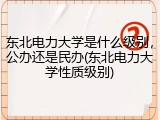 东北电力大学是什么级别，公办还是民办(东北电力大学性质级别)