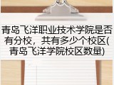 青岛飞洋职业技术学院是否有分校，共有多少个校区(青岛飞洋学院校区数量)