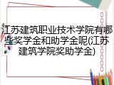 江苏建筑职业技术学院有哪些奖学金和助学金呢(江苏建筑学院奖助学金)