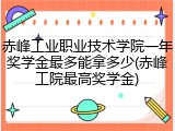 赤峰工业职业技术学院一年奖学金最多能拿多少(赤峰工院最高奖学金)