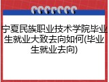 宁夏民族职业技术学院毕业生就业大致去向如何(毕业生就业去向)