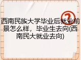 西南民族大学毕业后就业前景怎么样，毕业生去向(西南民大就业去向)
