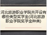 河北旅游职业学院共开设有哪些类型奖学金(河北旅游职业学院奖学金种类)