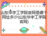 山东华宇工学院官网是哪个网址多少(山东华宇工学院官网)