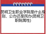 昆明卫生职业学院是什么级别，公办还是民办(昆明卫职院属性)