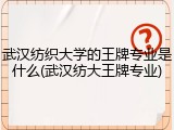 武汉纺织大学的王牌专业是什么(武汉纺大王牌专业)