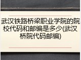 武汉铁路桥梁职业学院的院校代码和邮编是多少(武汉桥院代码邮编)