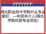 闽北职业技术学院什么专业最好，一年招多少人(闽北学院优势专业招生)